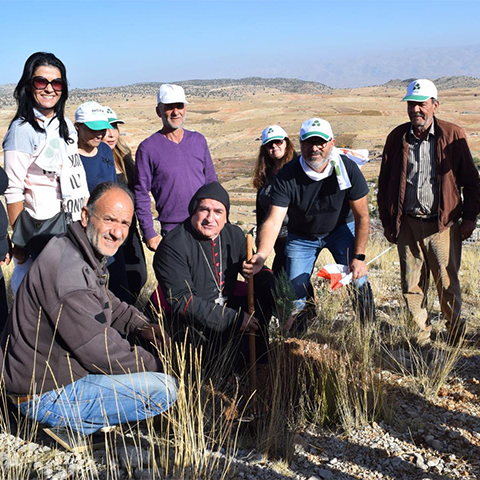 Juniperus planting day